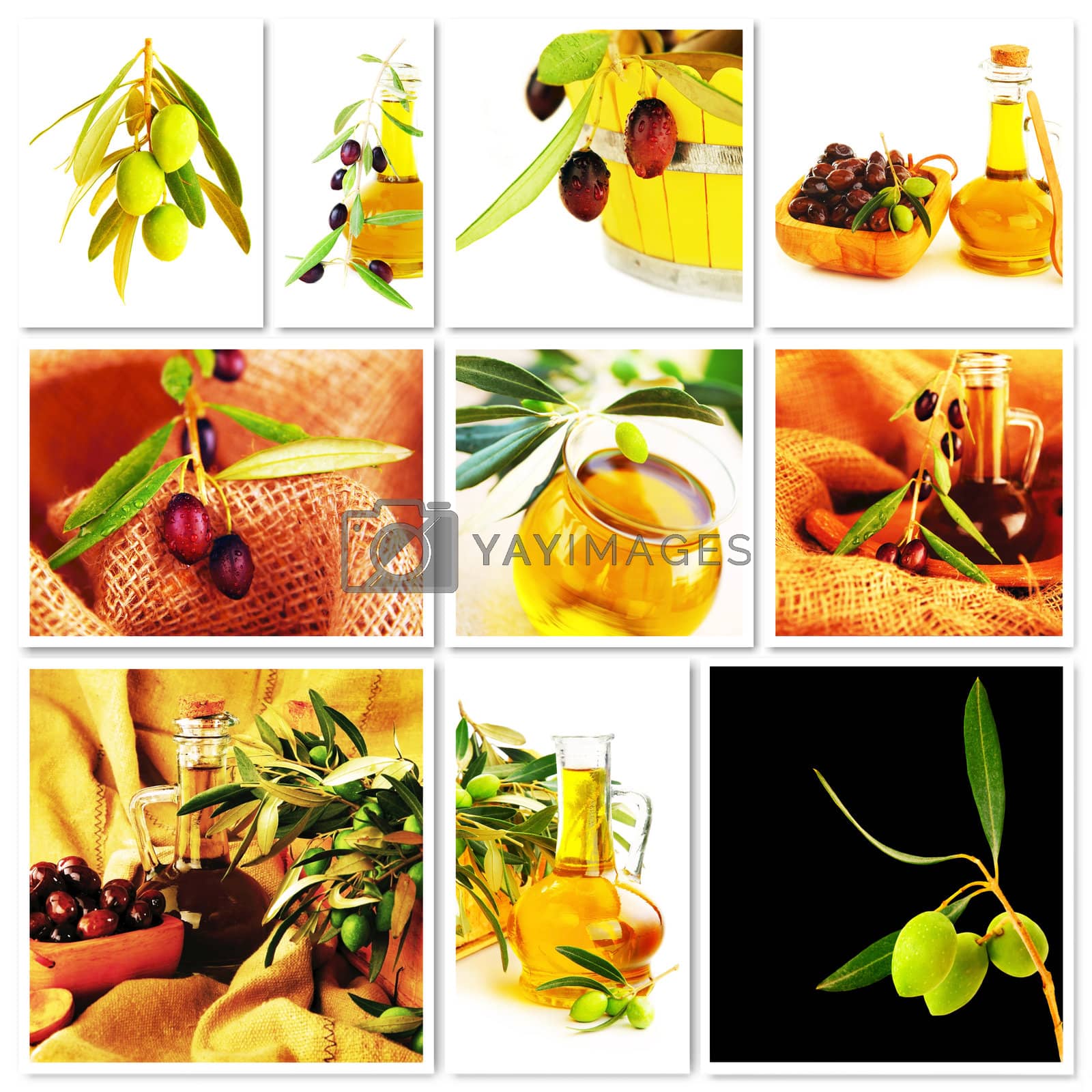 Royalty free image of Olives collage by Anna_Omelchenko