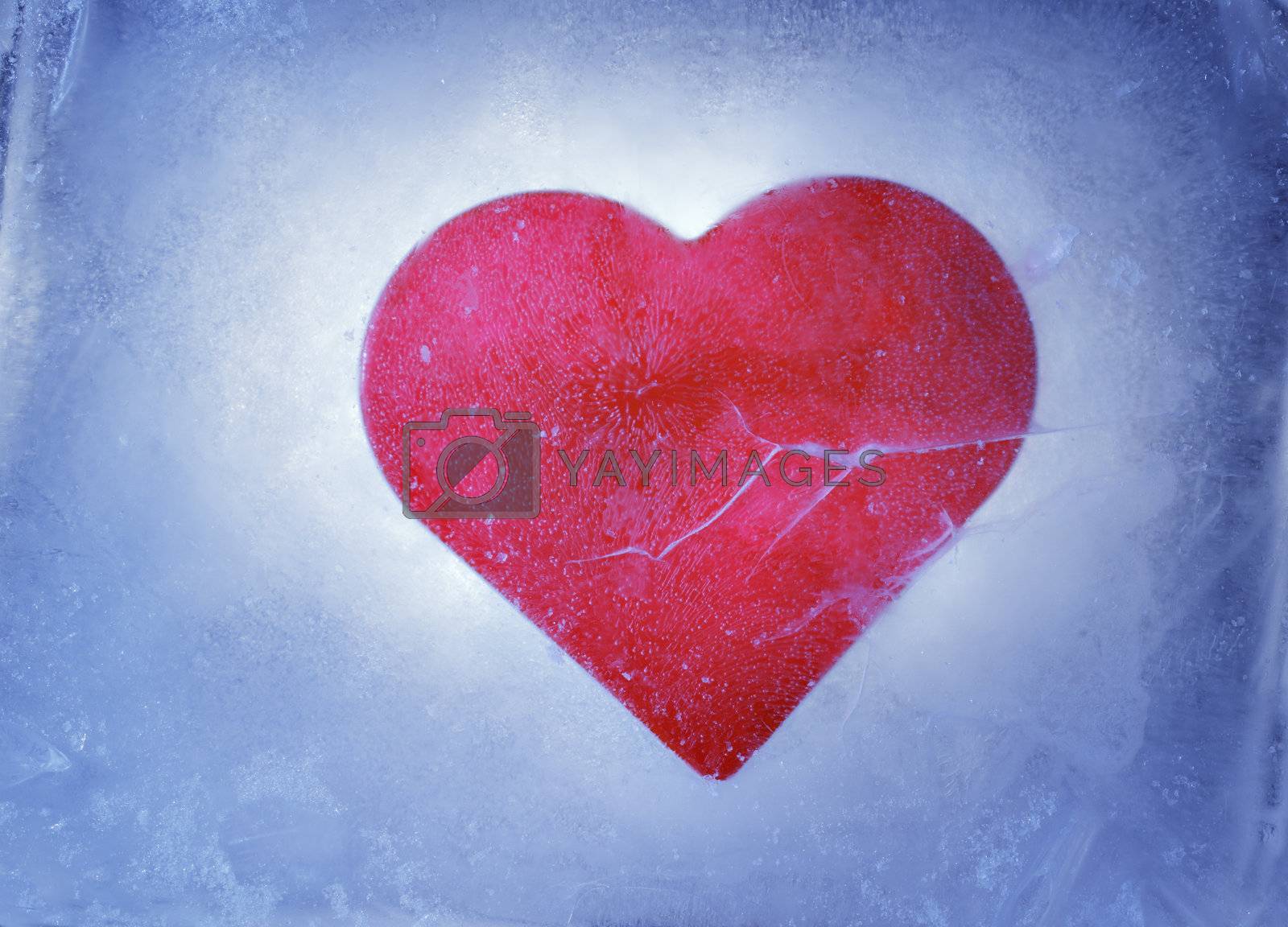 Royalty free image of Frozen heart by Stocksnapper
