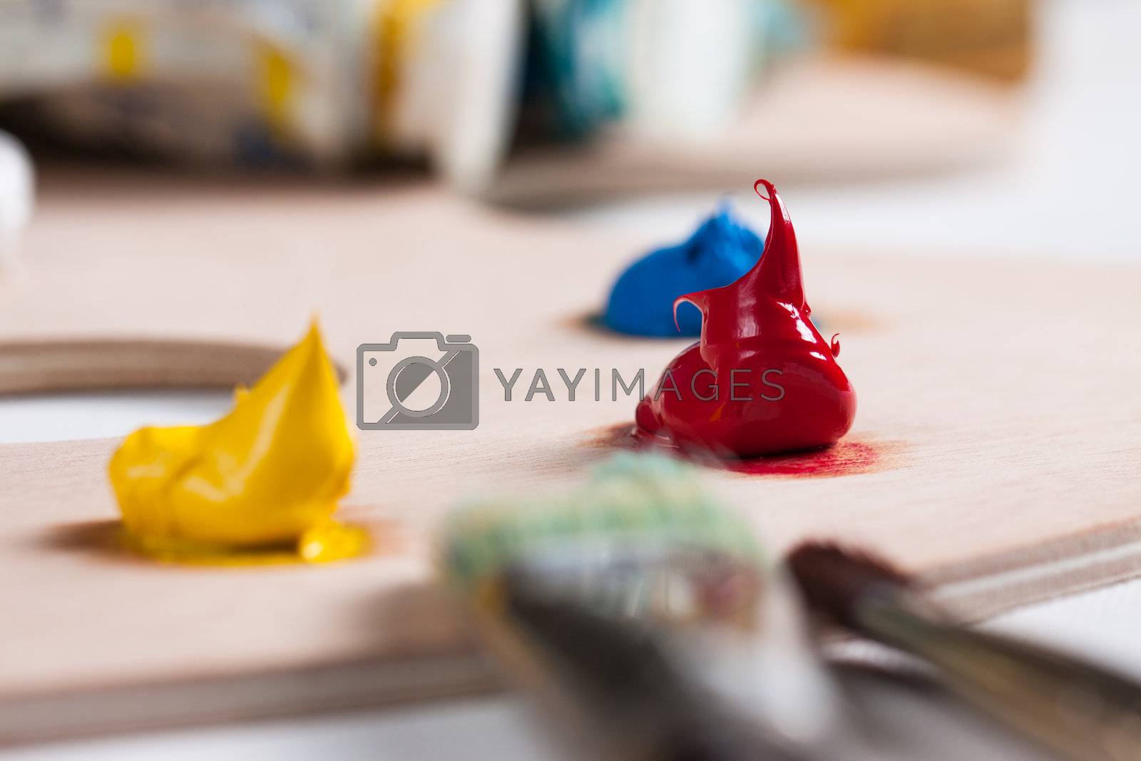 Royalty free image of Paint and paint brushes by Jaykayl