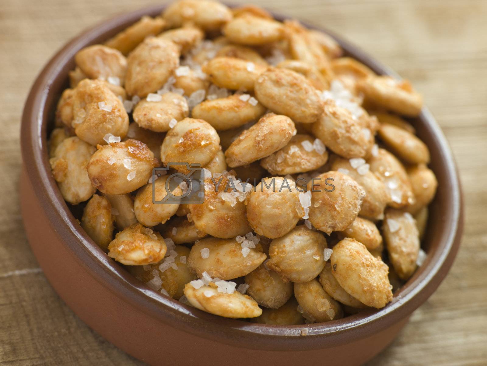 Royalty free image of Spiced and Salted Macadamia Nuts by MonkeyBusiness