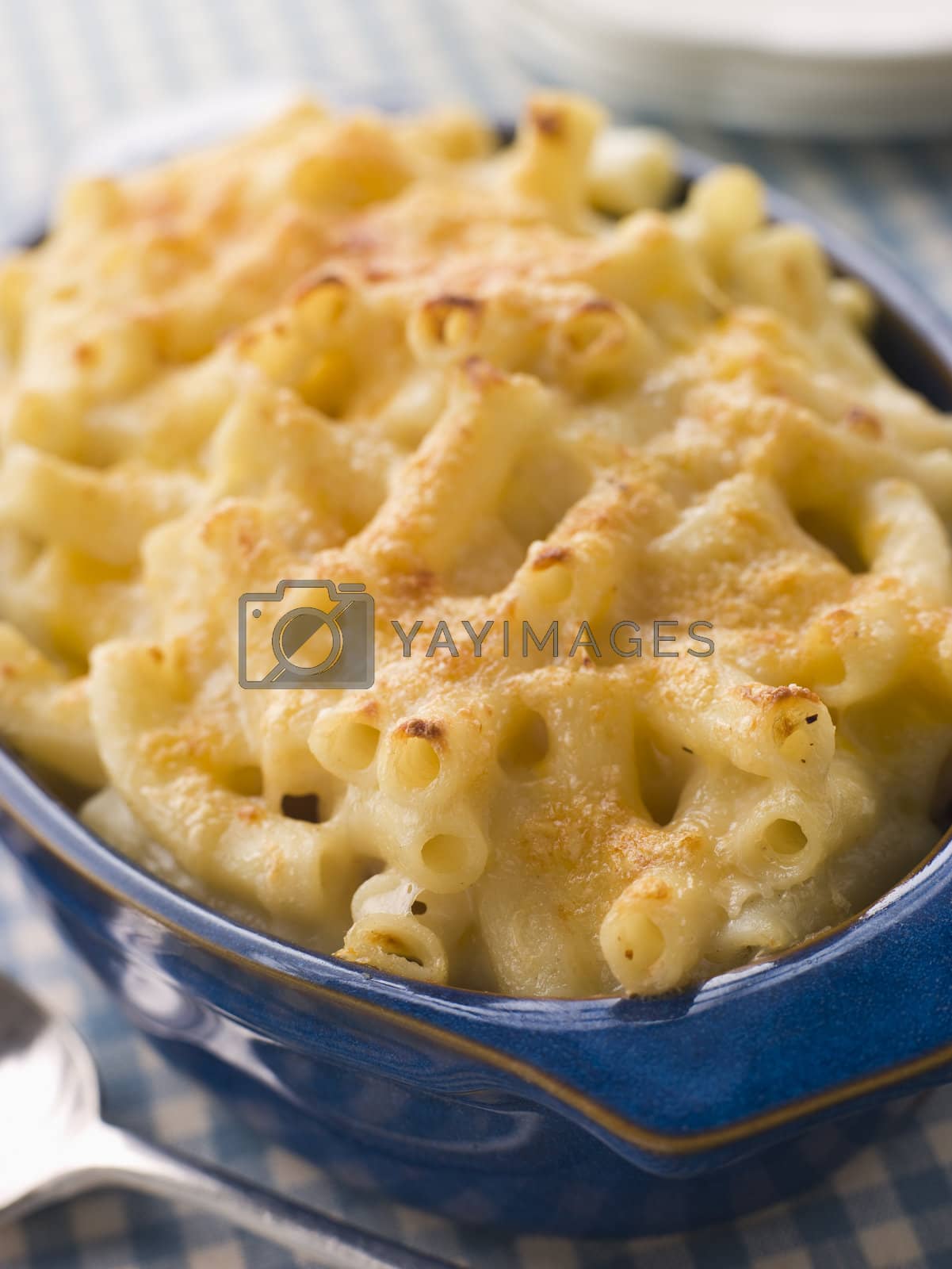 Royalty free image of Dish of Macaroni Cheese by MonkeyBusiness