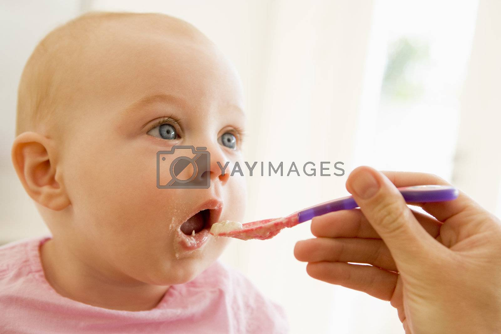 Royalty free image of Mother feeding baby food to baby by MonkeyBusiness
