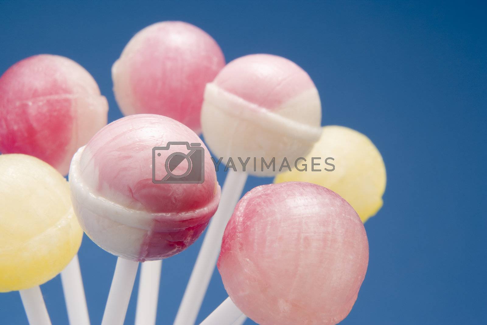Royalty free image of Selection of Candy Lollipops by MonkeyBusiness