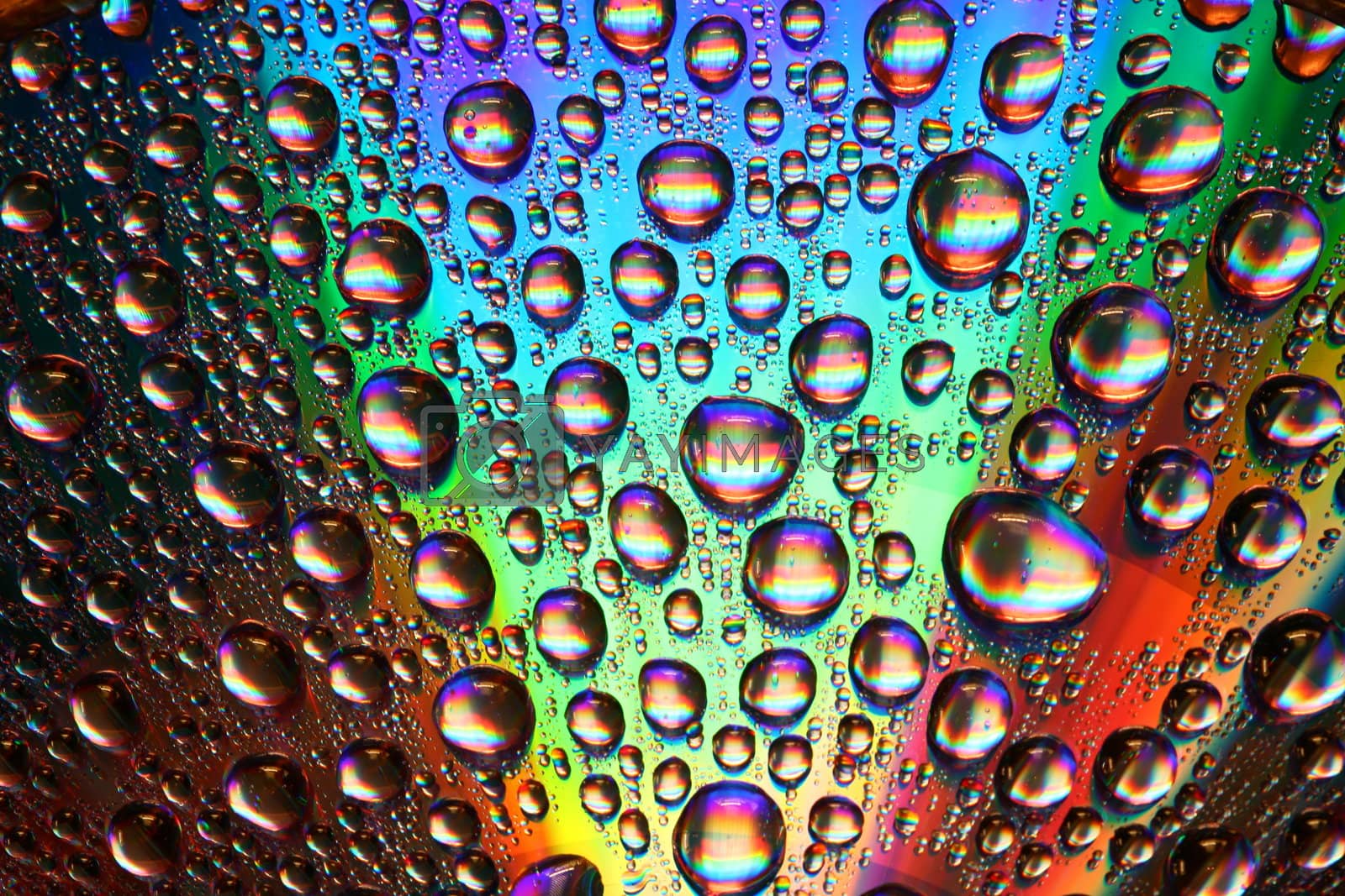 Royalty free image of multicolored waterdrops by Yellowj