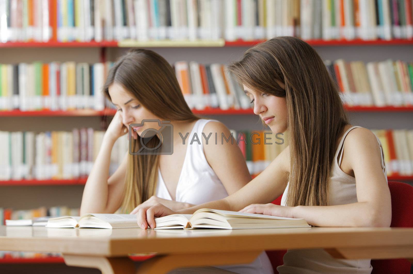 Royalty free image of Students by stokkete