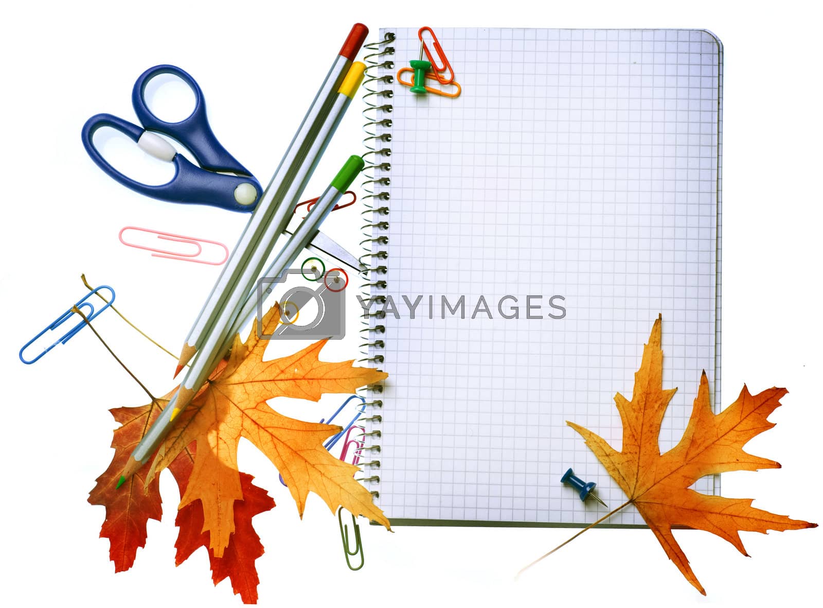 Royalty free image of Back To School Concept Design. Stationery by SubbotinaA