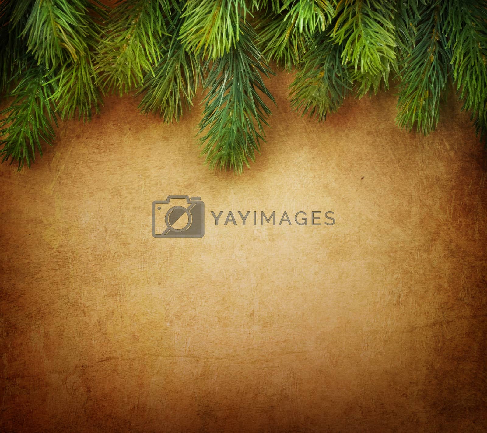 Royalty free image of Christmas Fir Tree Border over Vintage background by SubbotinaA