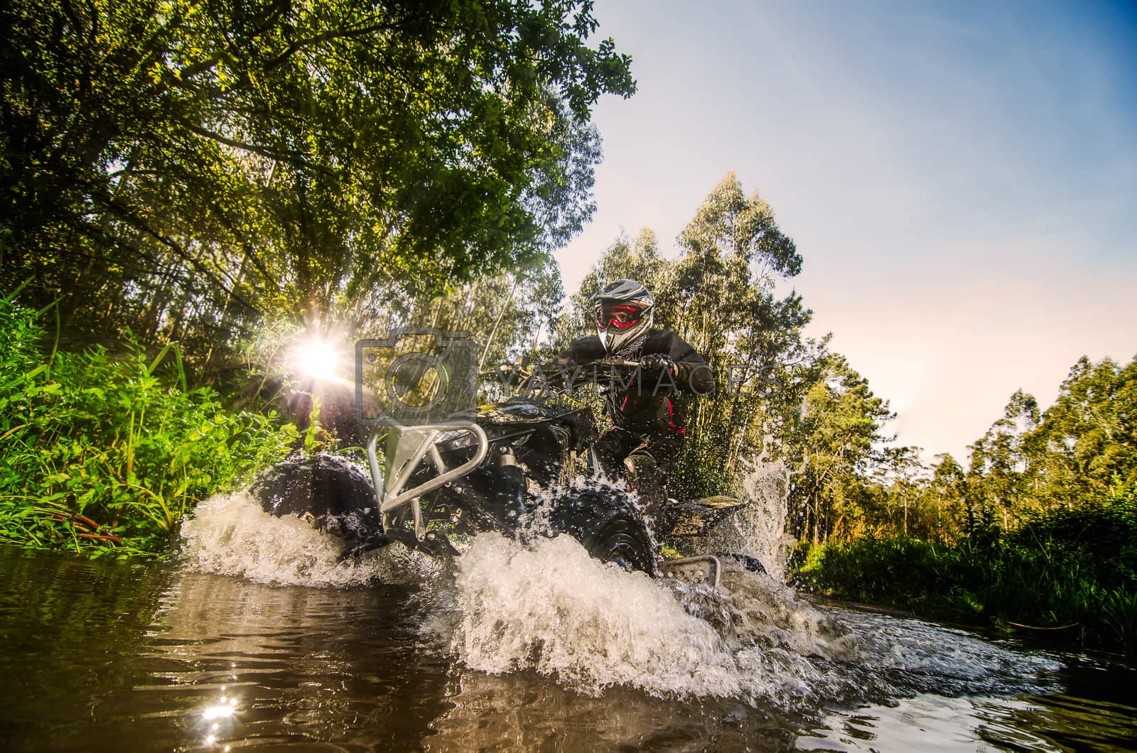 Royalty free image of Quad rider through water stream by homydesign