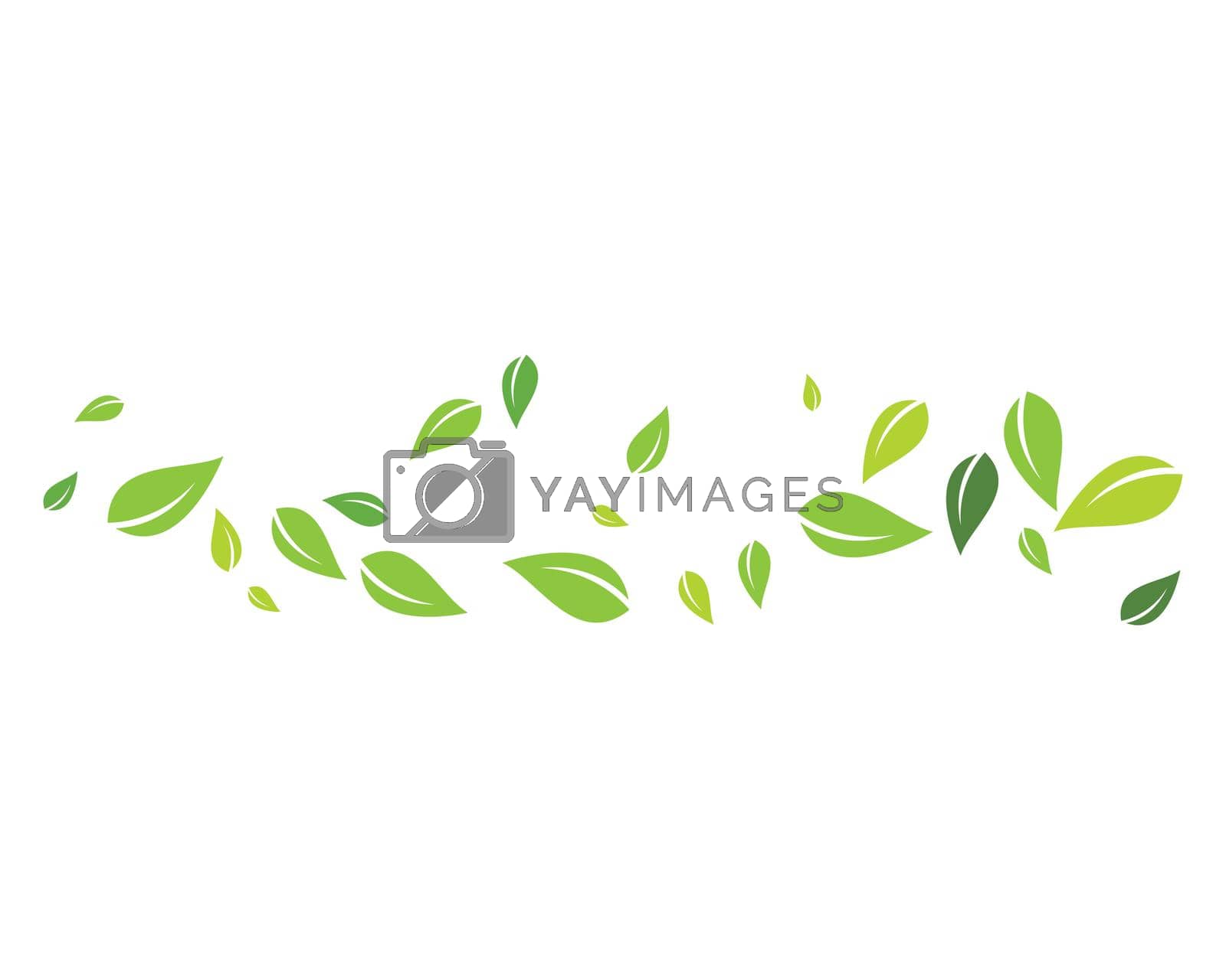 Royalty free image of green leaf background by awk