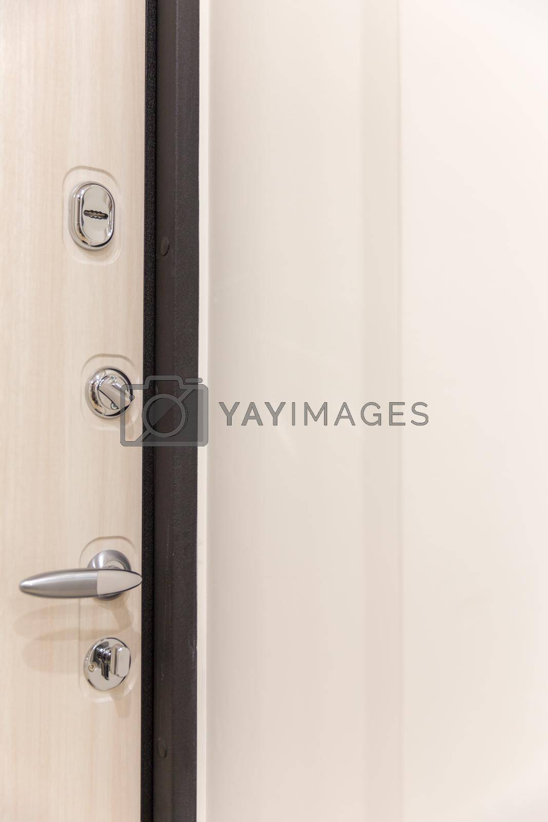 Royalty free image of Door with many locks by Mariakray