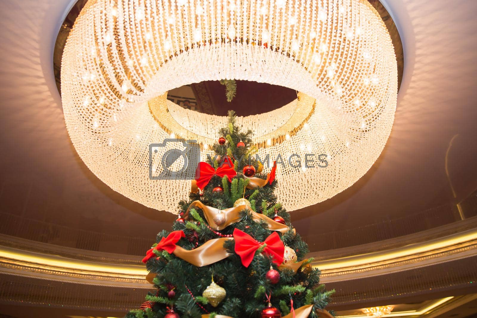 Royalty free image of Tall christmas tree with luster by Mariakray