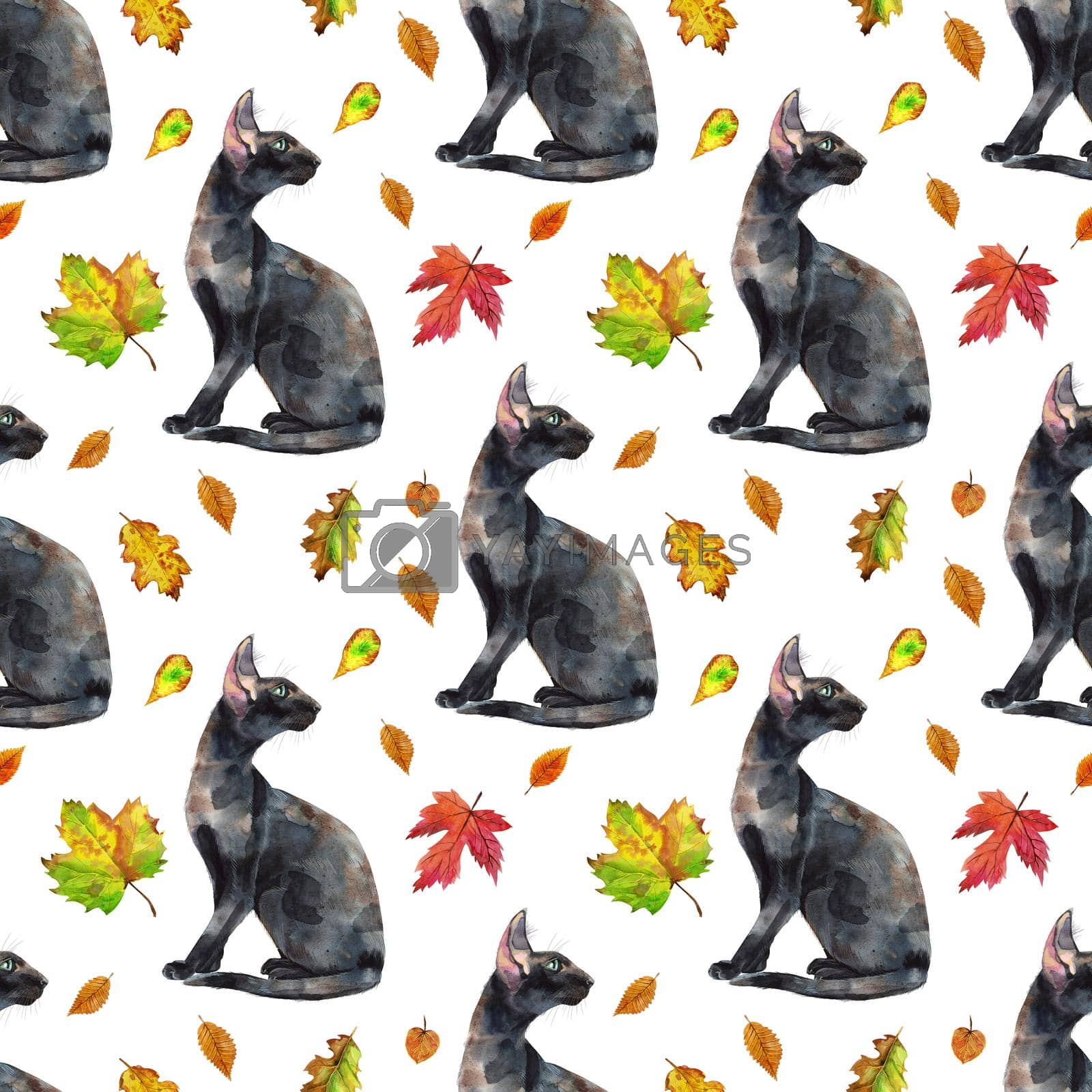 Seamless pattern of watercolor oriental cats. Hand drawn black short hair pets on white background.