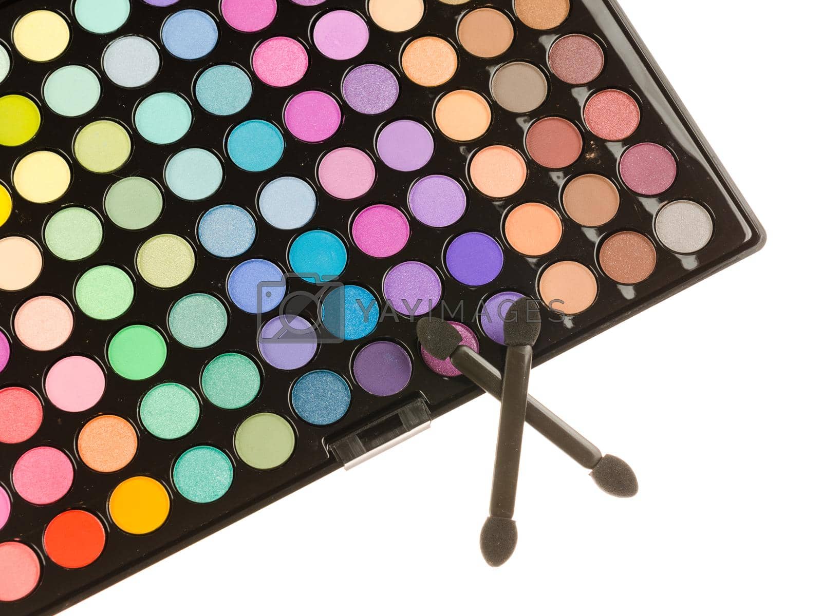 Royalty free image of Professional makeup palette by nikitabuida
