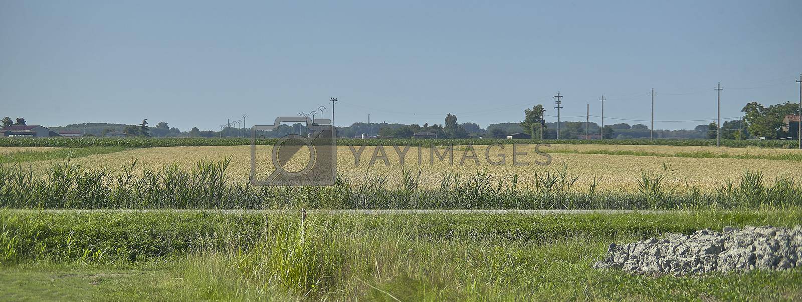 Countryside landscape detail, banner image with copy space