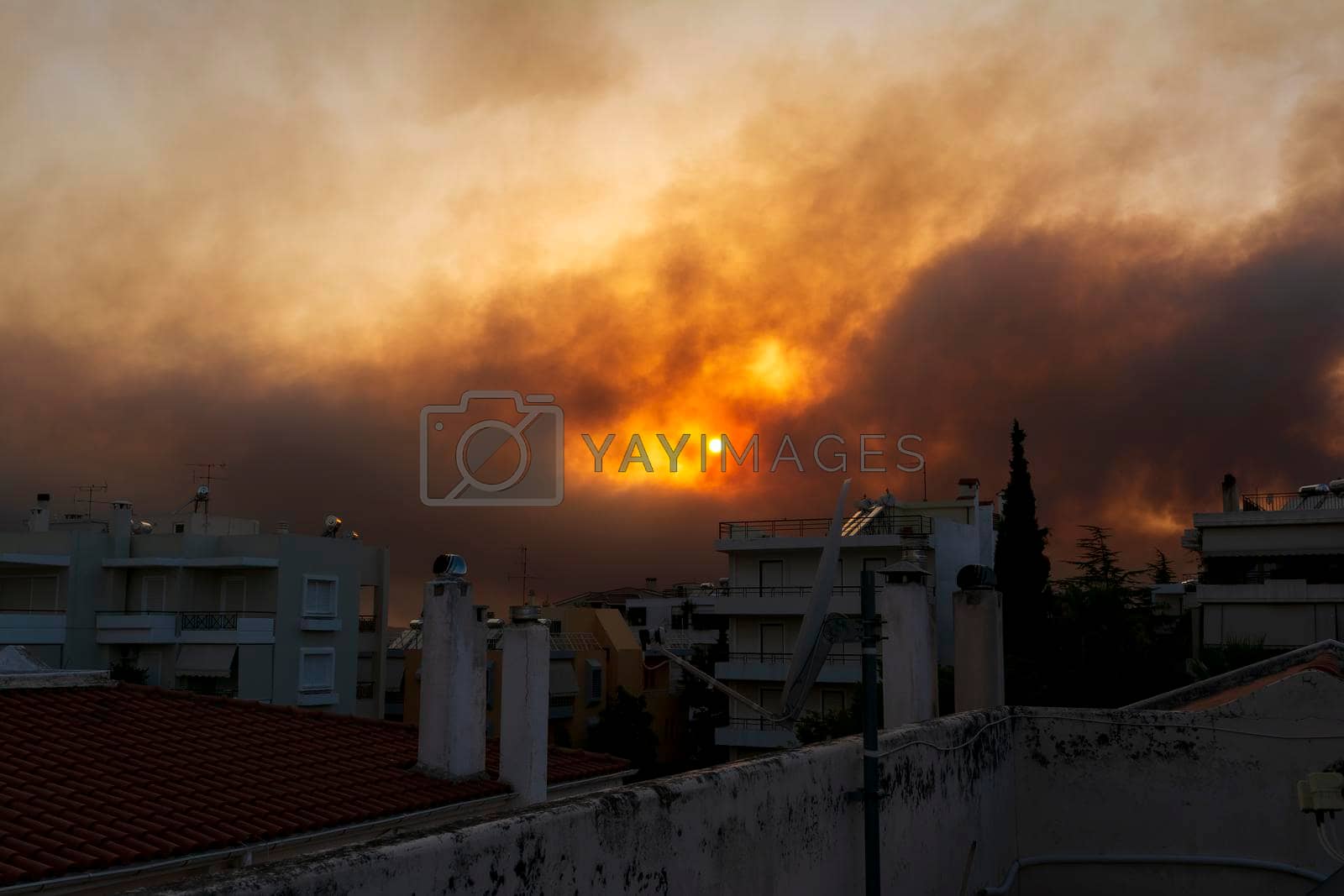 Royalty free image of Smoke from the fire in Varibobi at Athens by ankarb