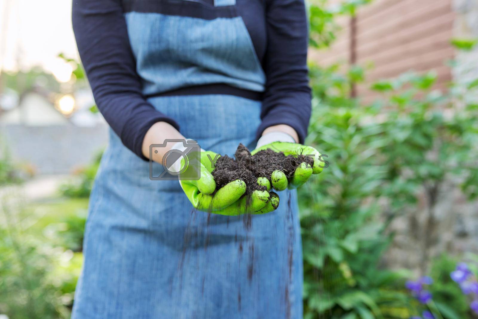 Royalty free image of Close-up of woman's hand in gardening gloves with black fertile soil by VH-studio