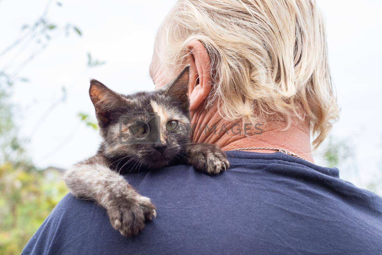 A small black kitten on a man's shoulder. Favorite pets.
