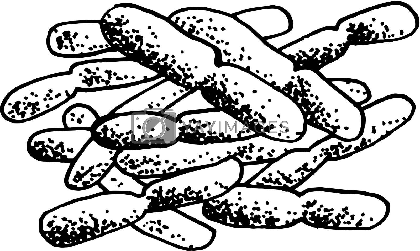 Royalty free image of Vector black sketch bacteria isolated on white backgtound. Microbe in medical therapy. Germ illness element. Hand painted bacterium for medicine concept. by DesignAB