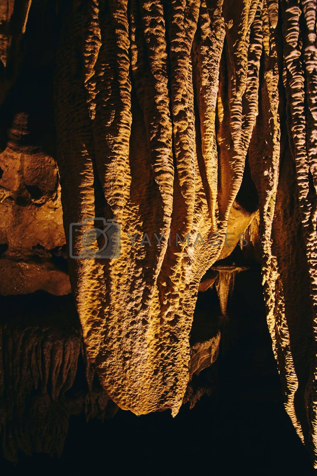 Royalty free image of Close up shot of cave formations underground stalagmites and stalactites by njproductions