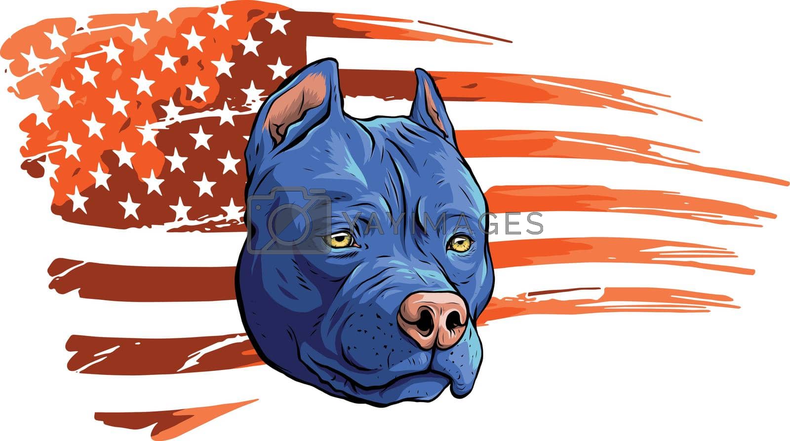 Royalty free image of Head of pitbull with american flag vector illustration by dean