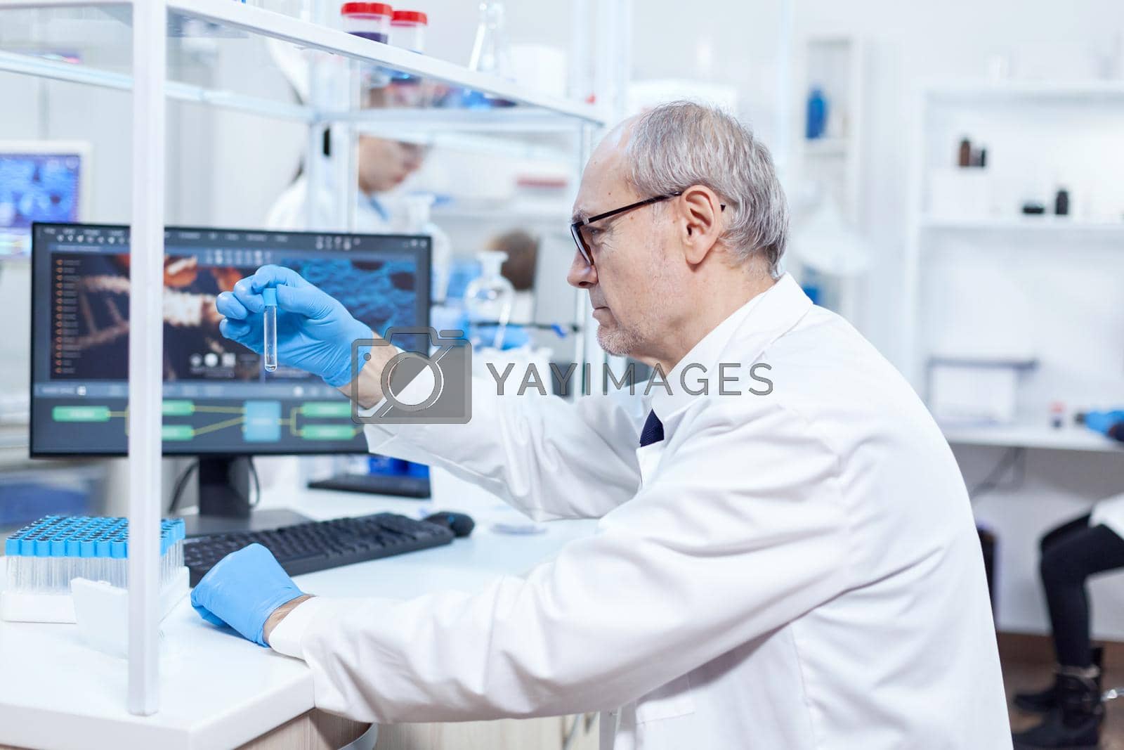 Royalty free image of Senior doctor in biology working with dangerous substance by DCStudio