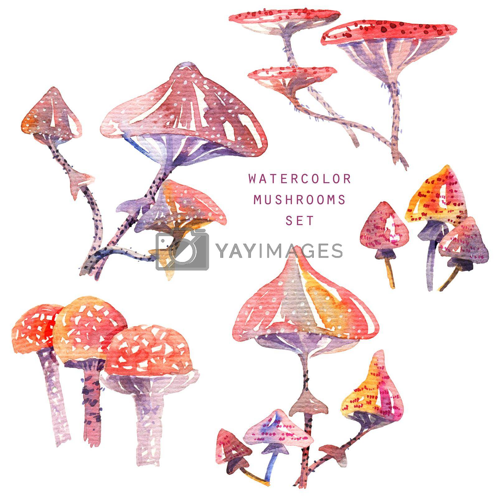 Royalty free image of Watercolor mushrooms by Olatarakanova