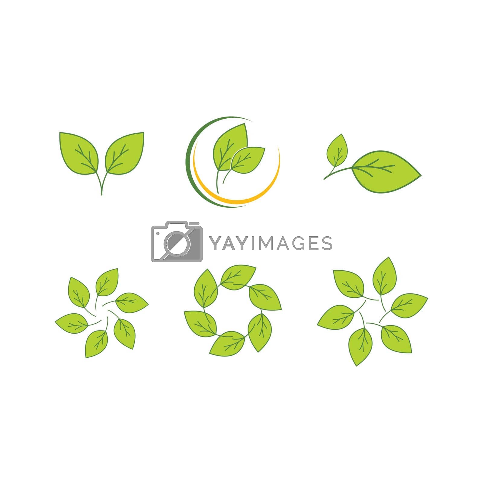 Royalty free image of Green leaf logo by awk