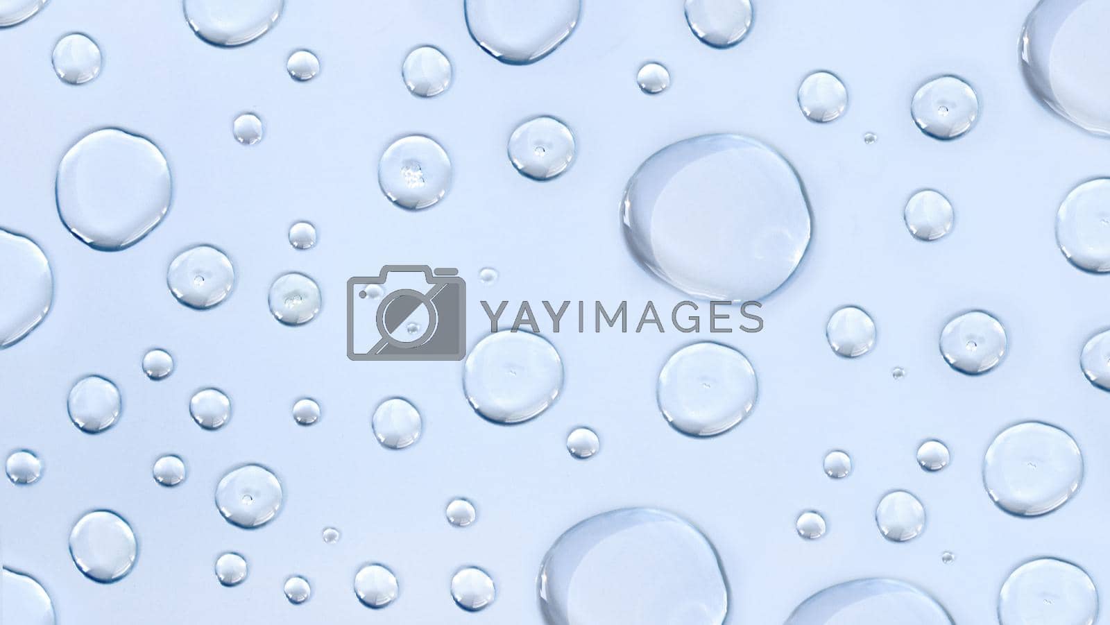 Royalty free image of Cosmetic moisturizing liquid drops on blue pastel background. Toner or lotion. Hyaluronic serum by Tasheva