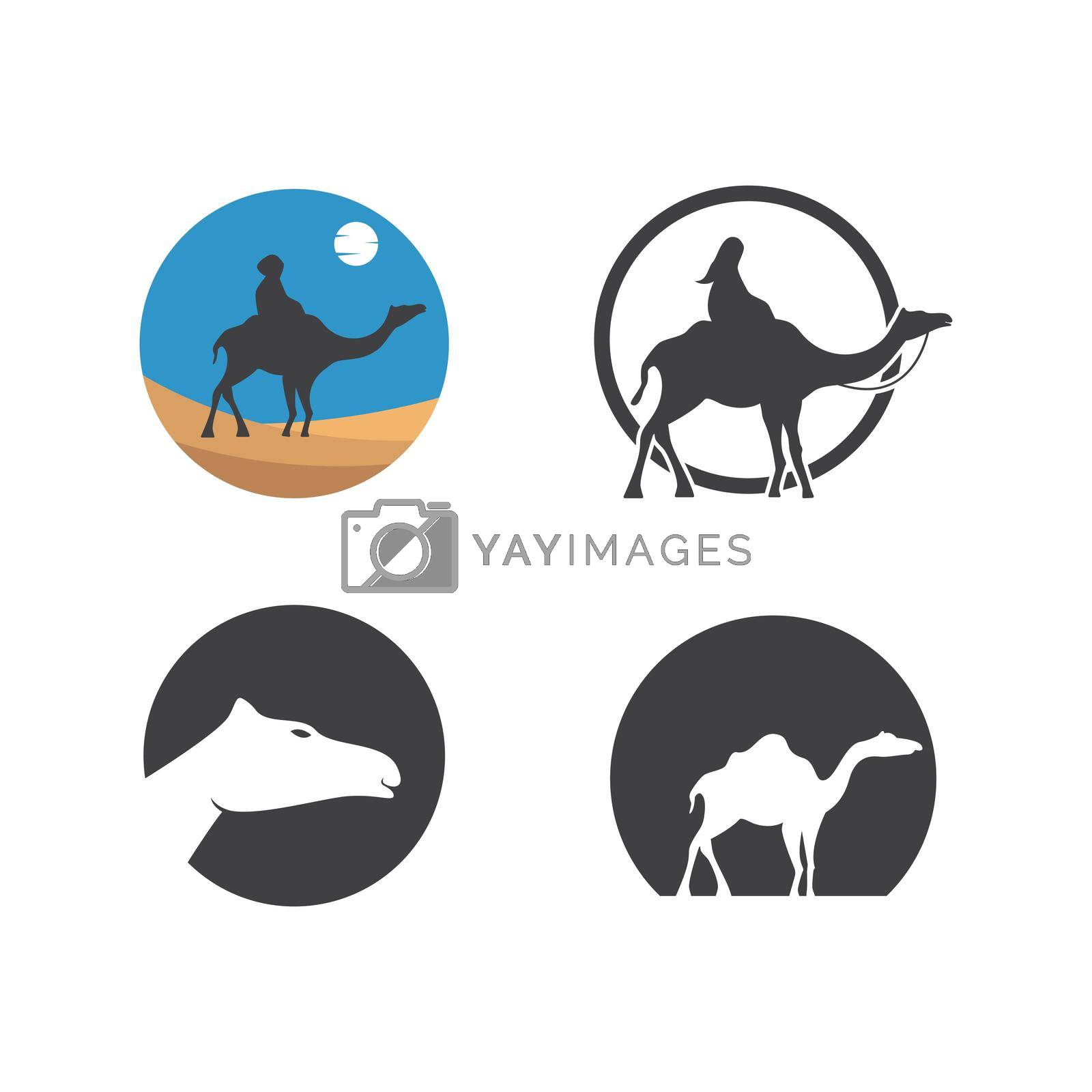 Royalty free image of Camel by awk