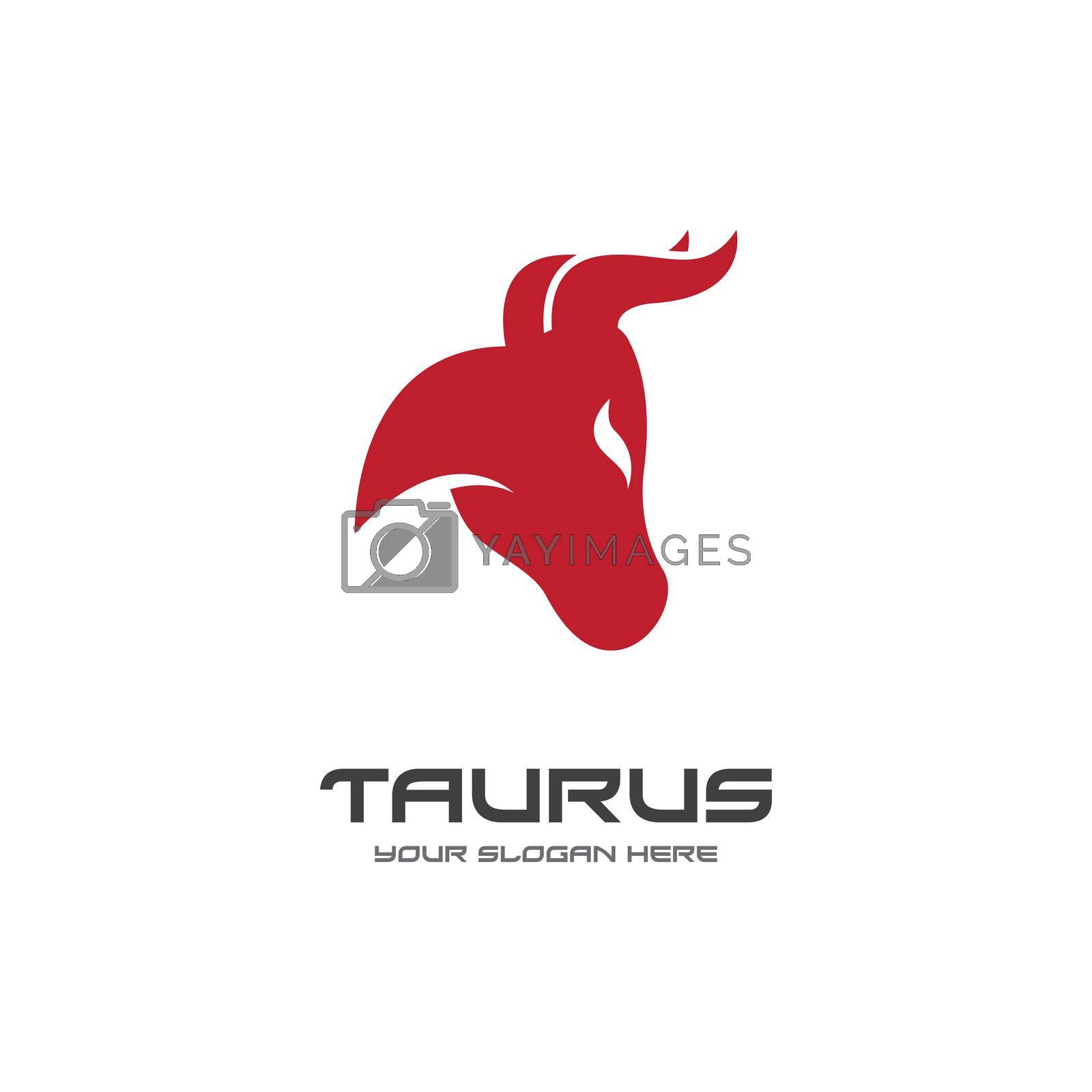 Royalty free image of Taurus by awk