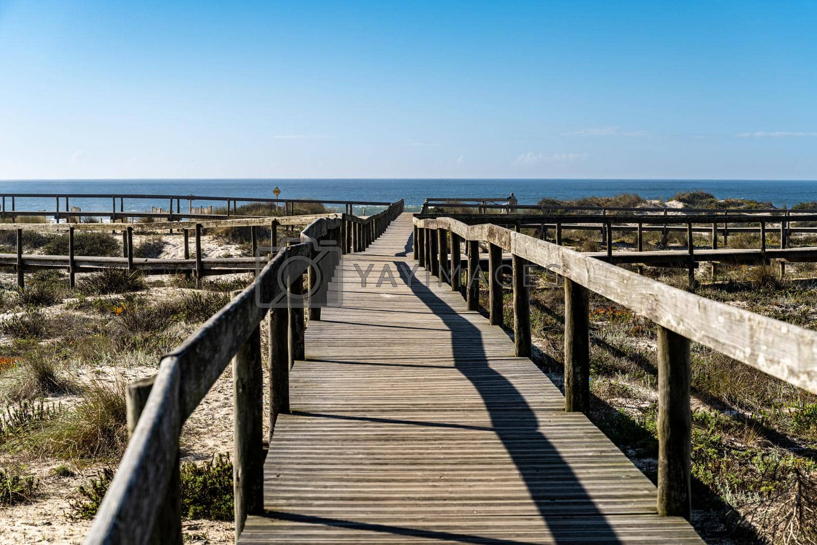 Royalty free image of Wooden pathway leading to the beach by homydesign