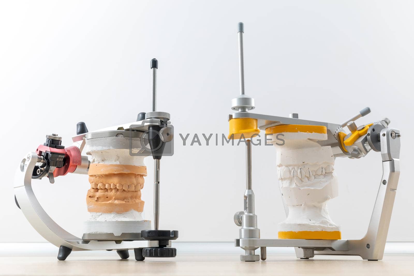 Two dental articulators with dental gypsum models in a modern dental laboratory