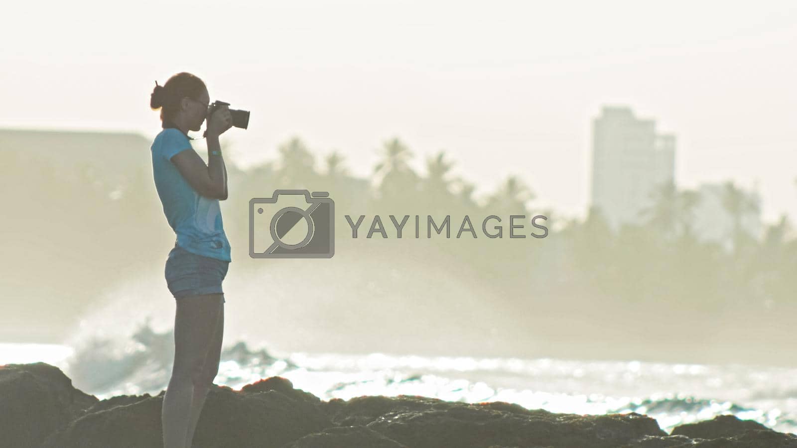 Royalty free image of cute young woman with red hair in glasses photog-raphs sea-life on the caribbean in Dominican Republic, telephoto by Studia72