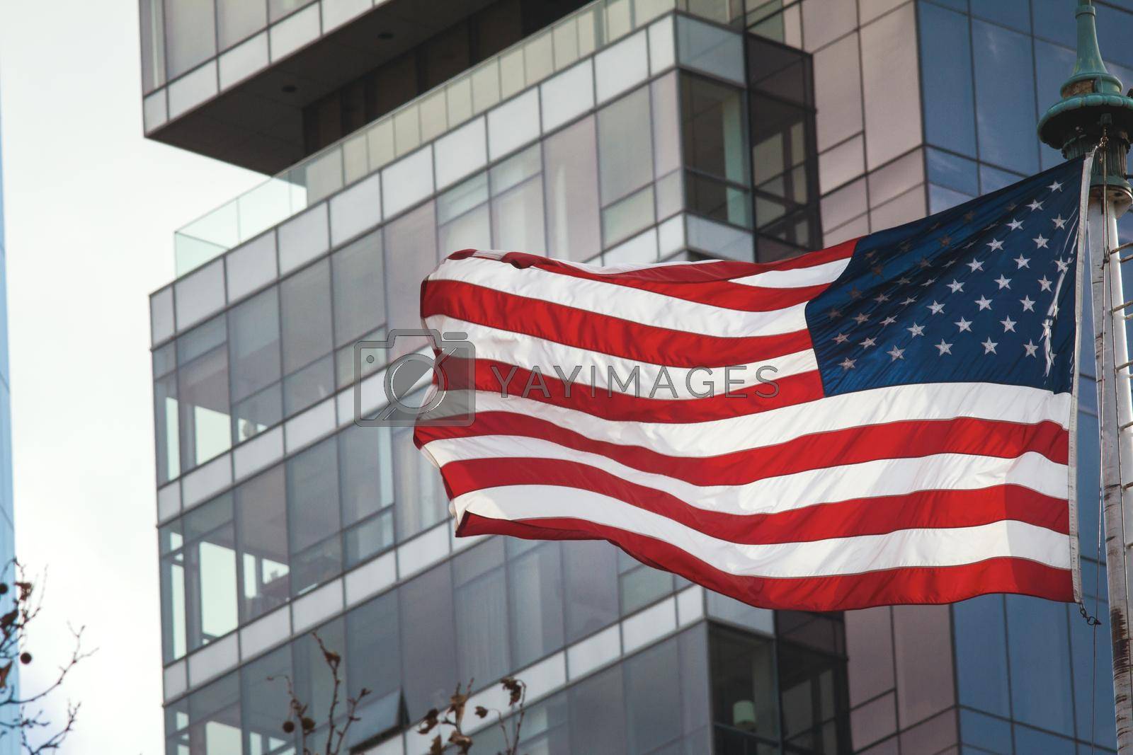 Royalty free image of American flag on the background of the glass building by Studia72