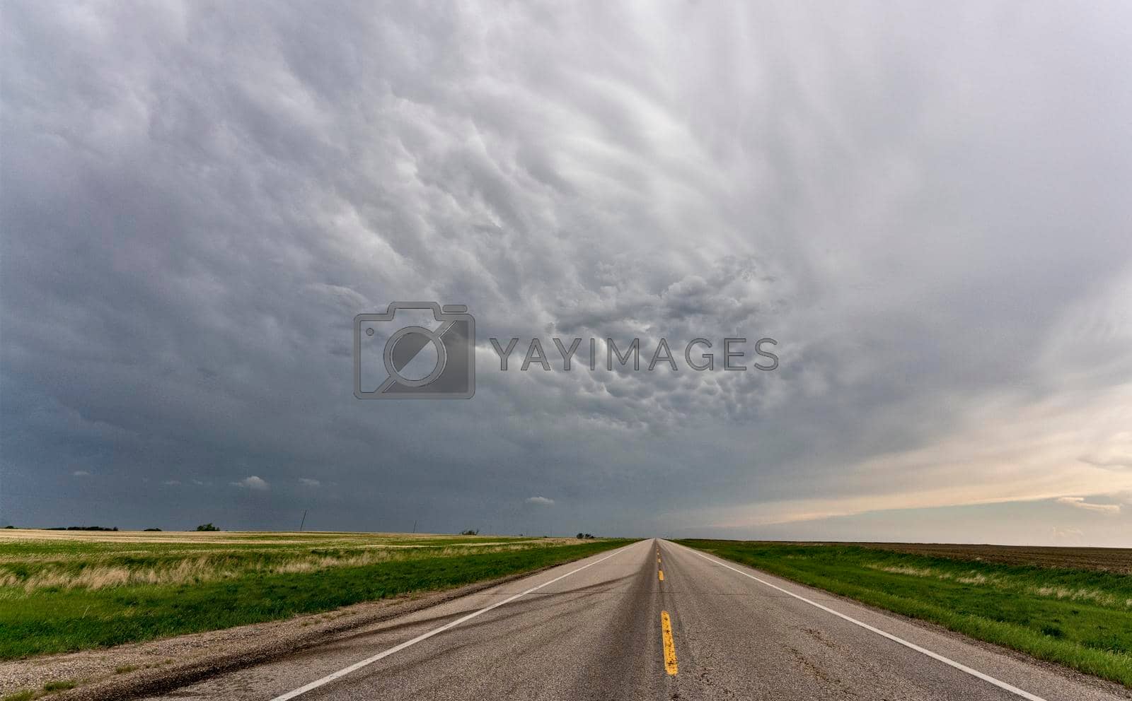 Royalty free image of Prairie Storm Clouds by pictureguy