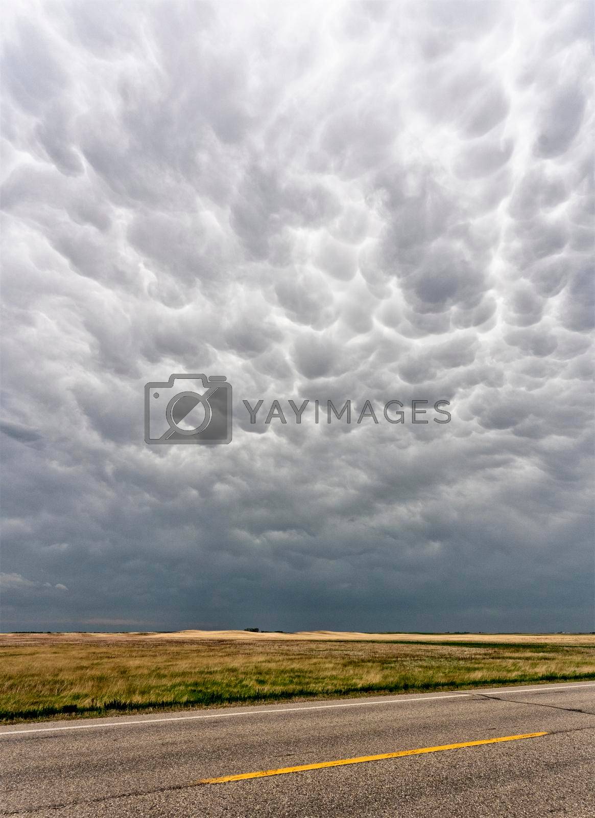Royalty free image of Prairie Storm Clouds by pictureguy