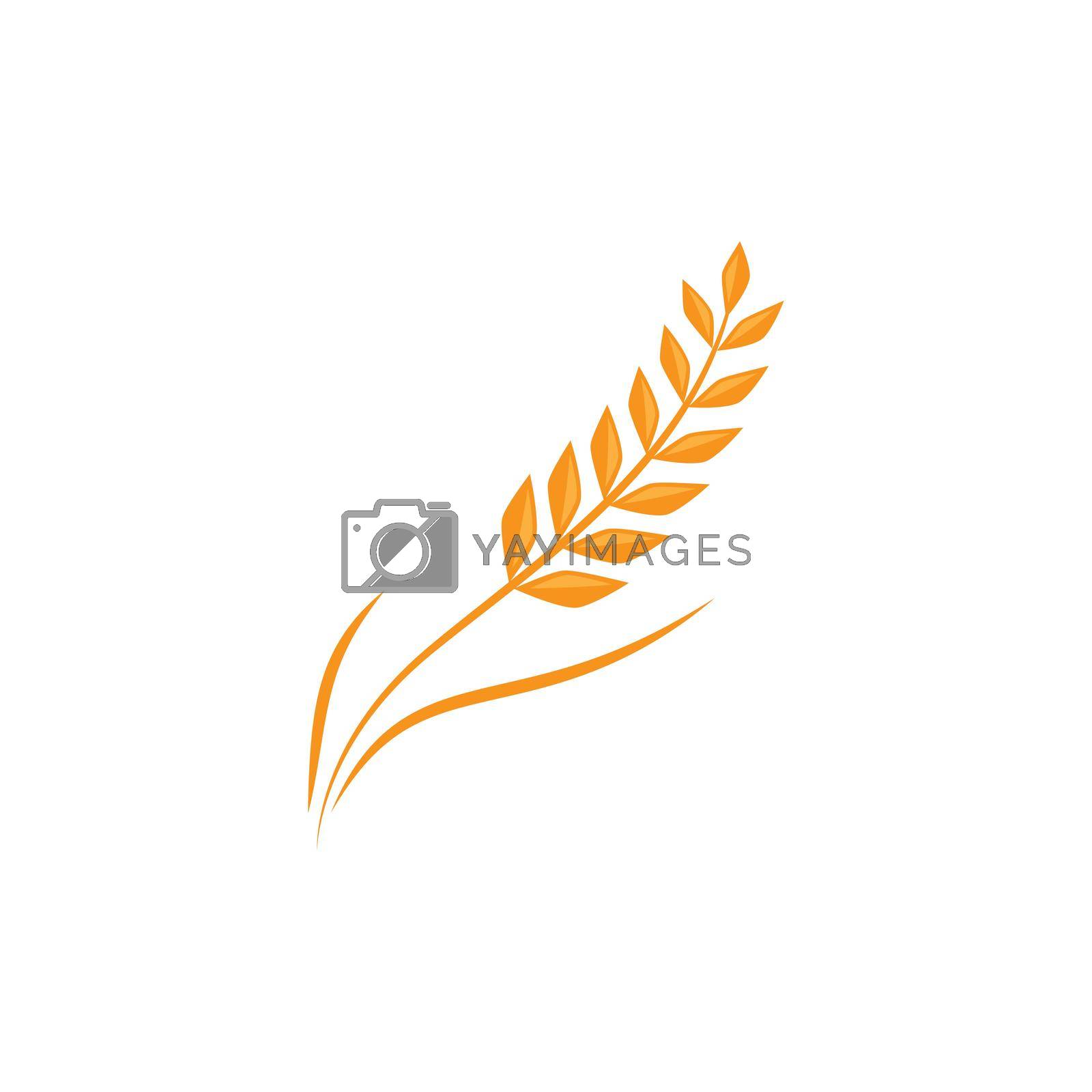 Royalty free image of Wheat illustration design by awk