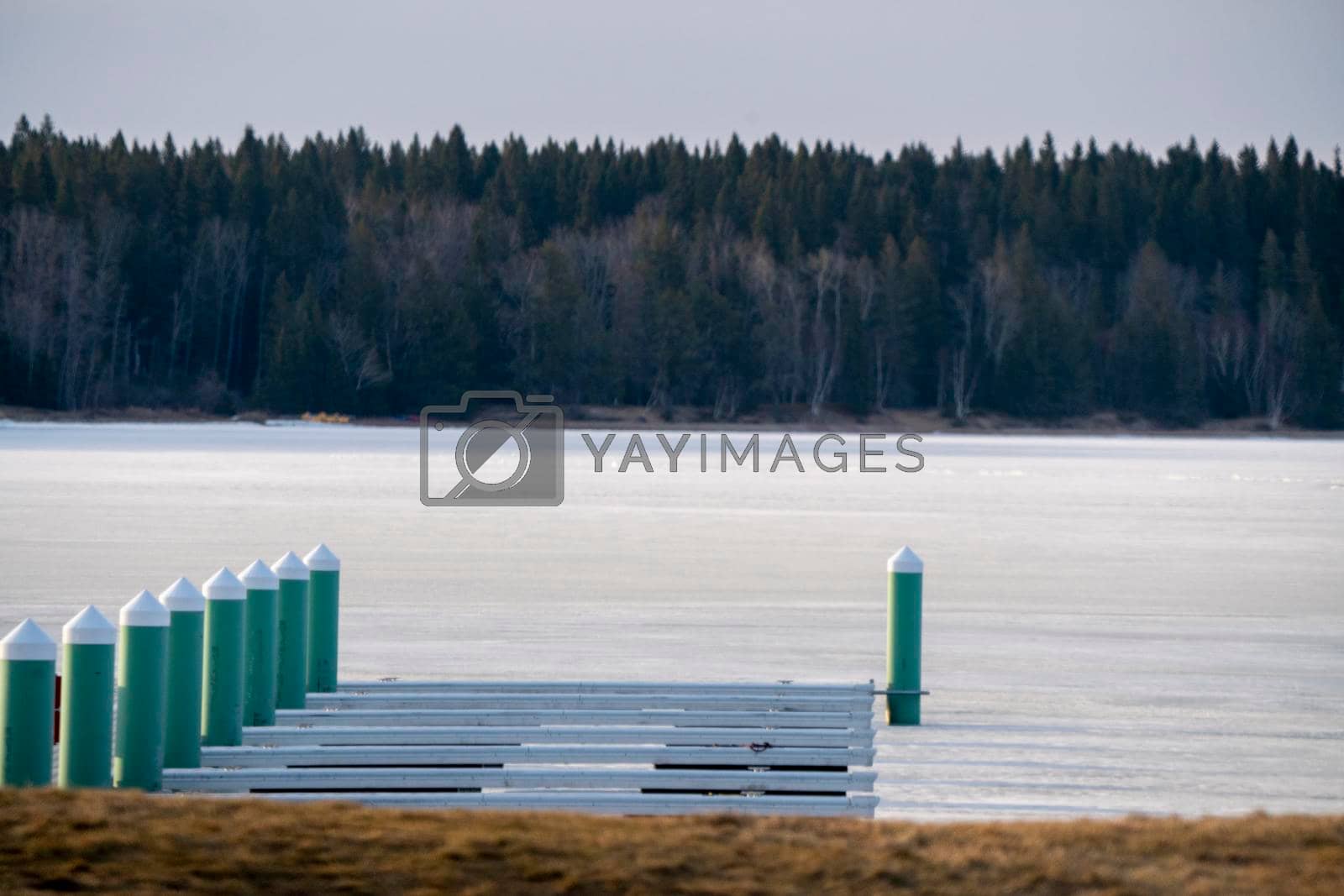Royalty free image of Prince Albert National Park  by pictureguy