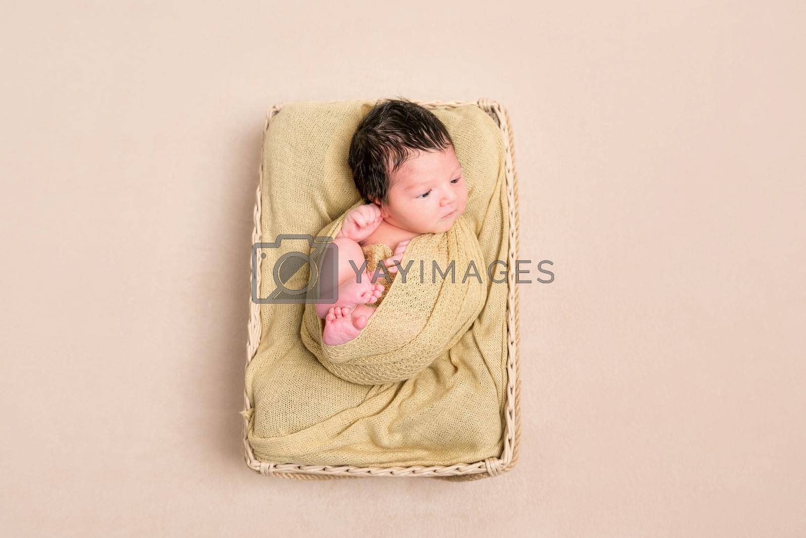 Royalty free image of Wrapped black-haired baby basket, topview by tan4ikk1