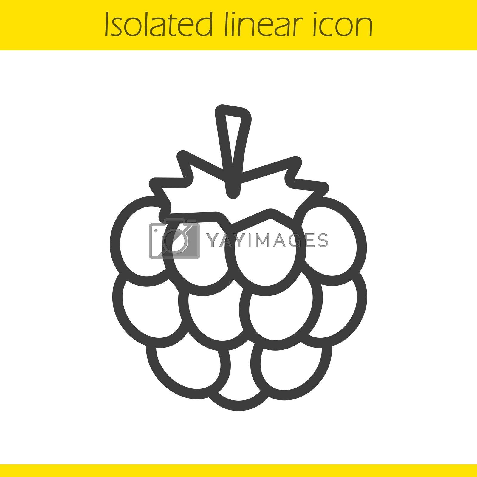 Royalty free image of Raspberry linear icon by bsd