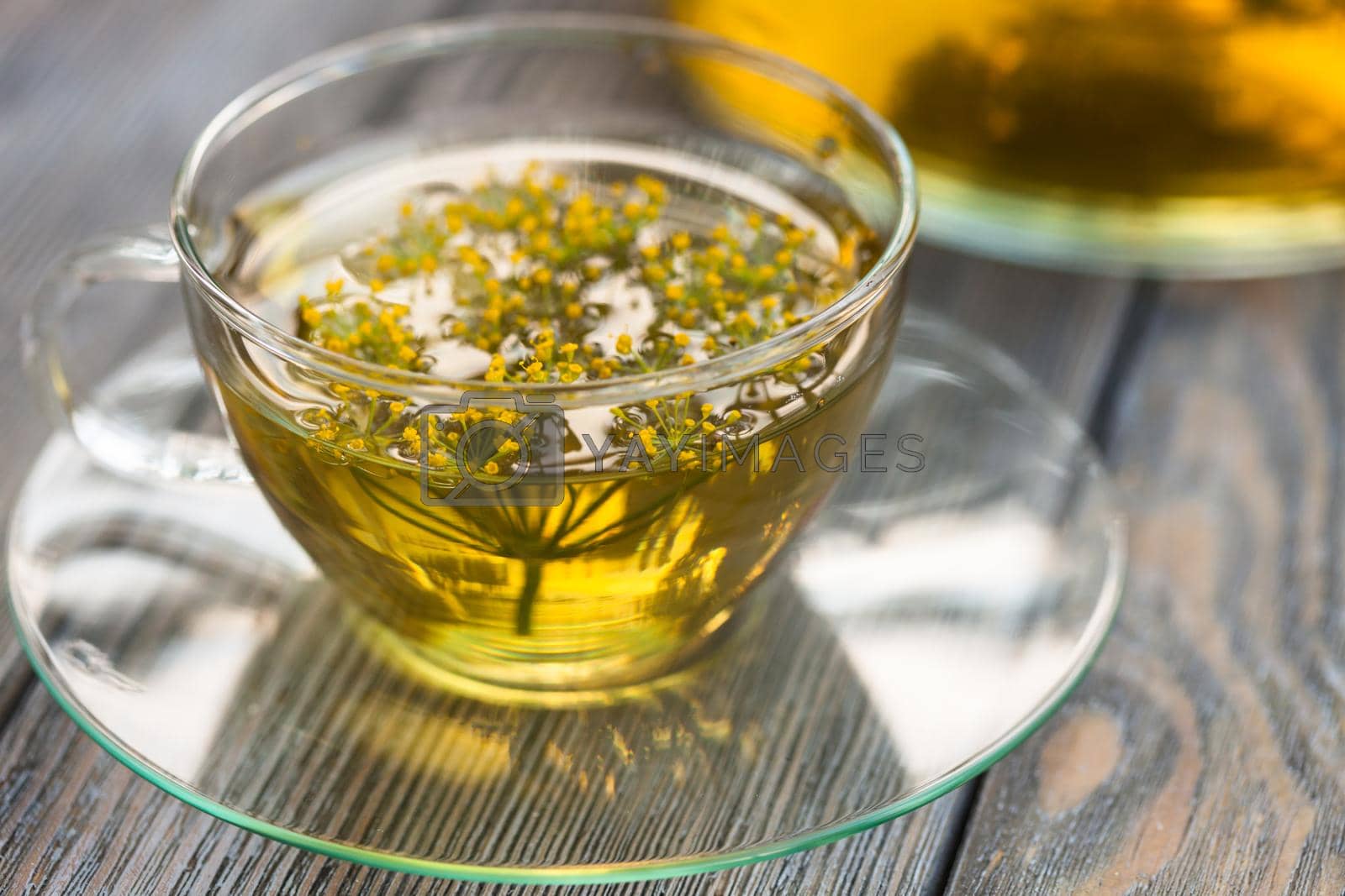 Royalty free image of Dill tea by oksix