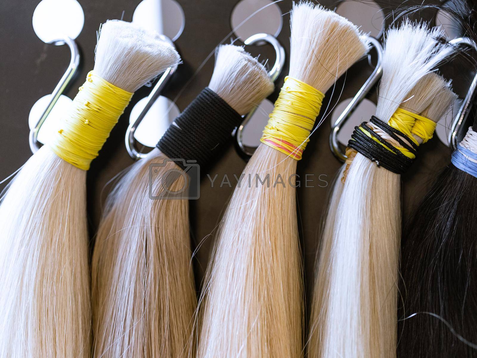 Royalty free image of Bundles of natural human hair extensions samples by Syvanych