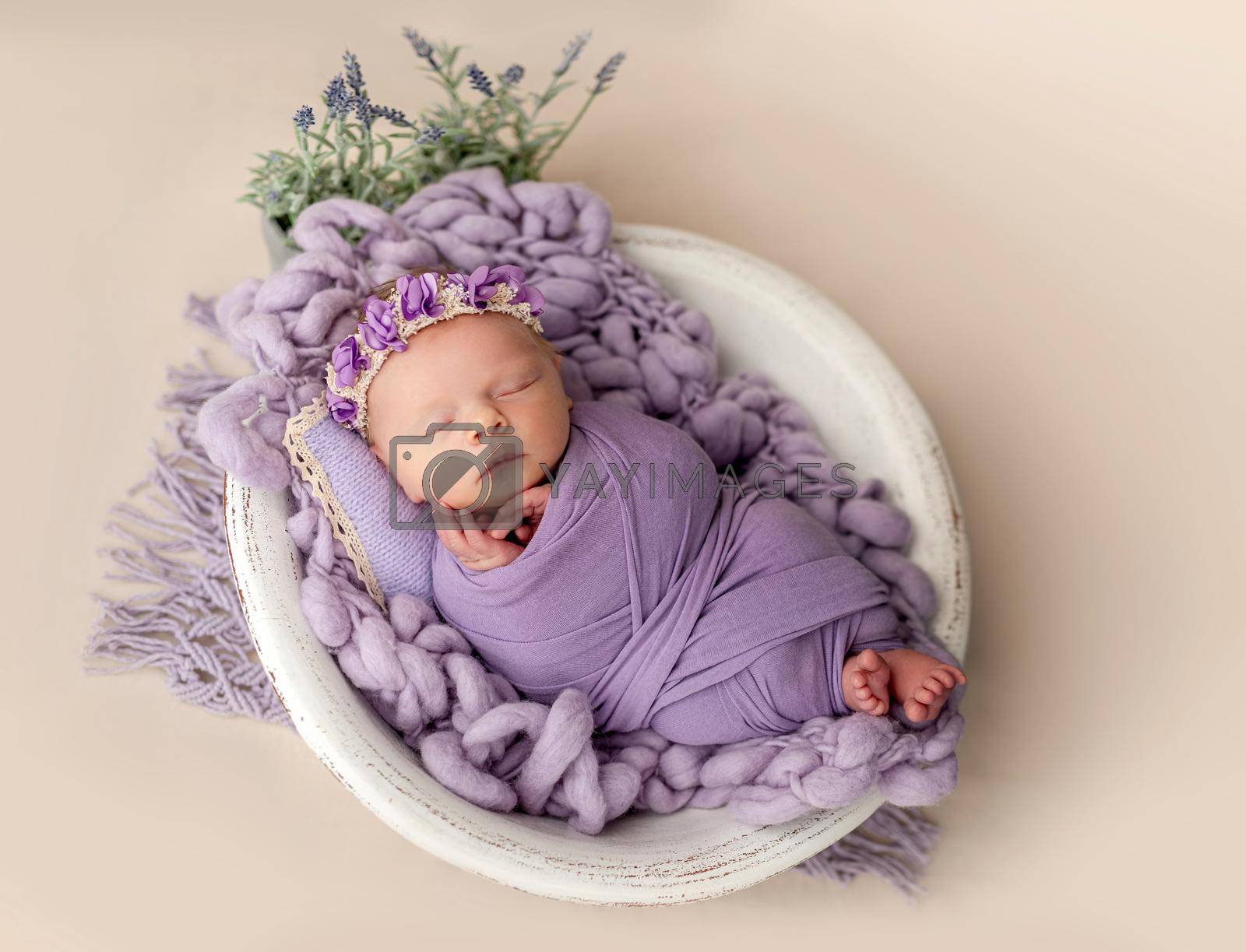 Royalty free image of Newborn sleeping wrapped in violet blanket by tan4ikk1