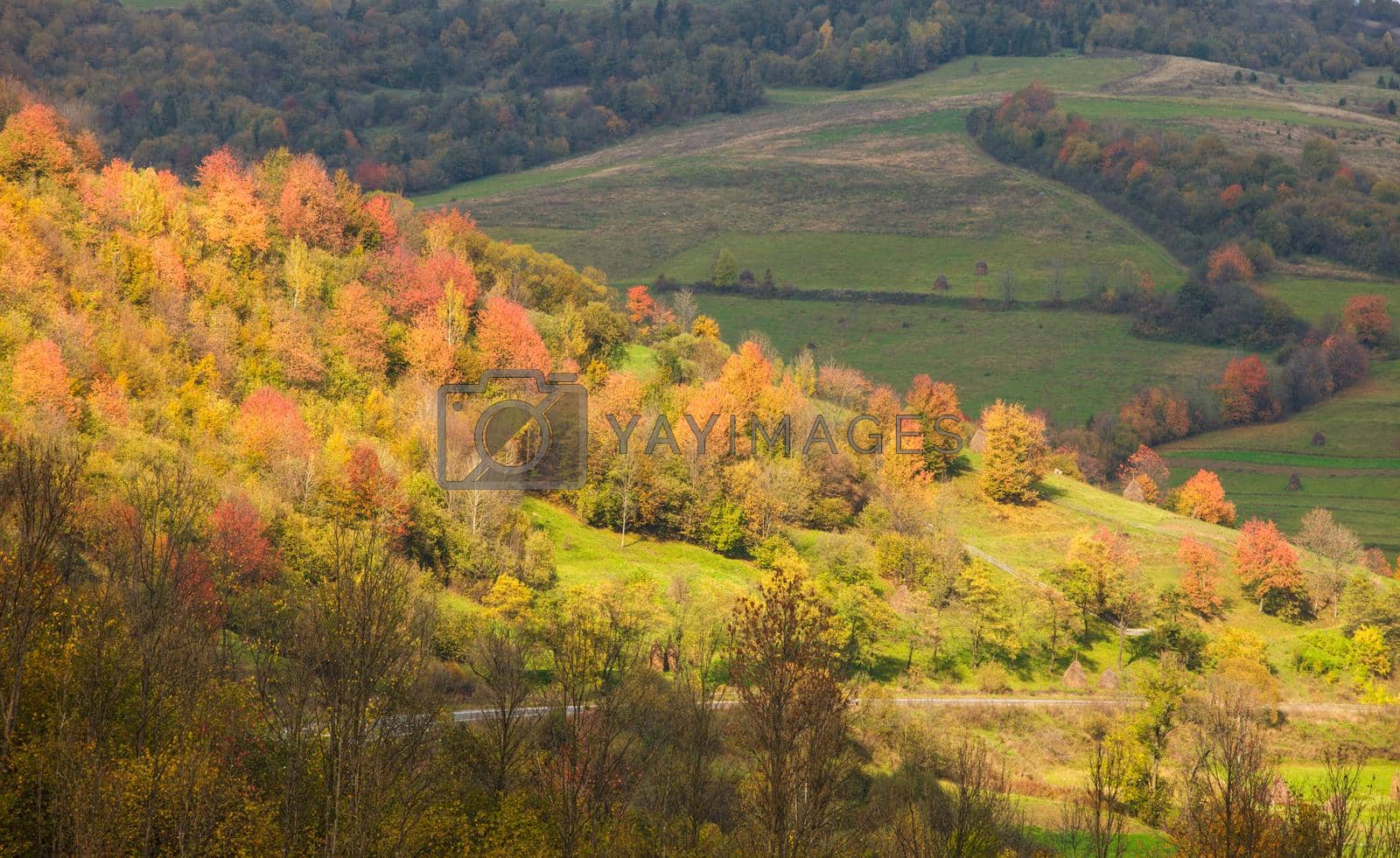 Beautiful autumnal landscape. Road throw the Carpathian mountains