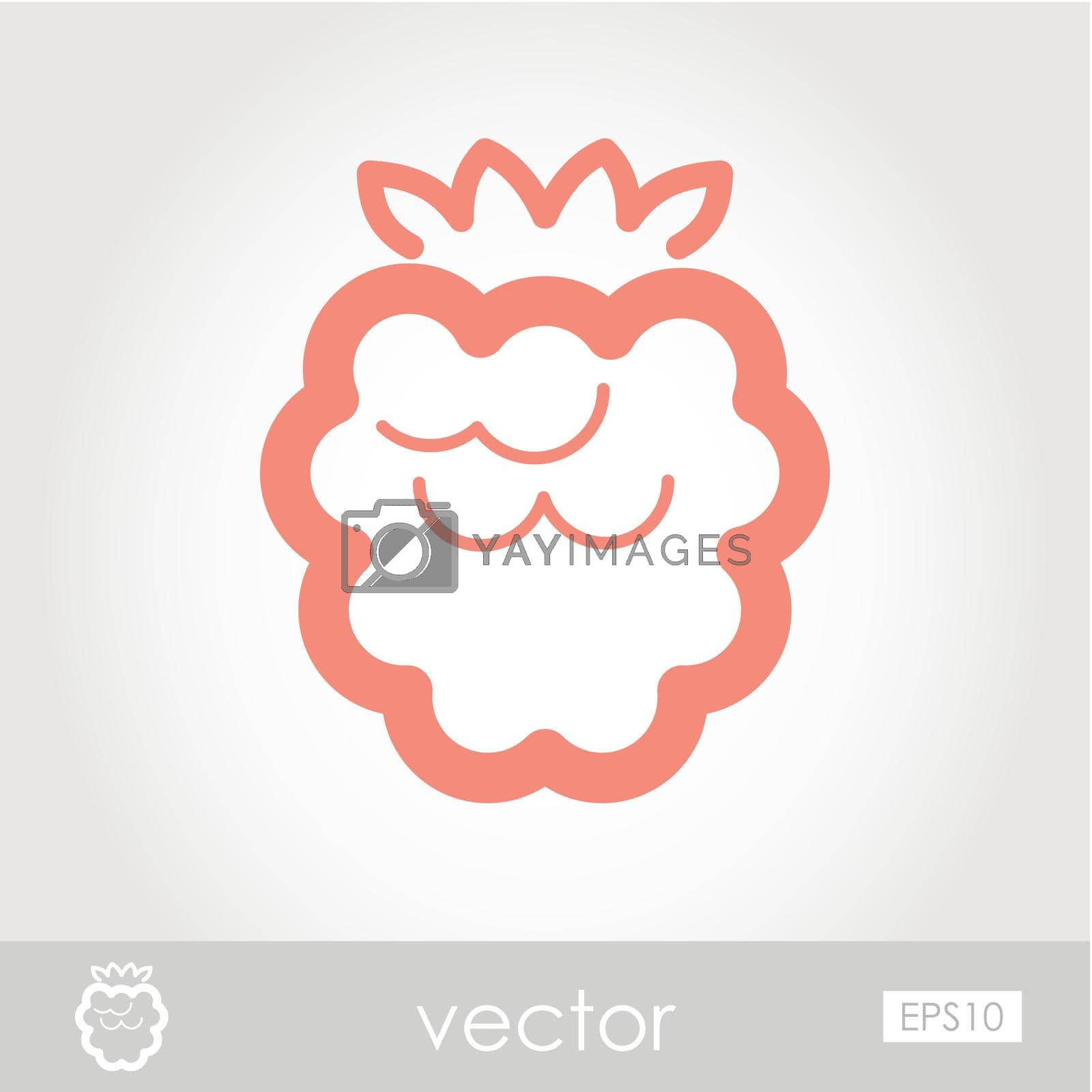 Royalty free image of Vector Raspberry icon by nosik