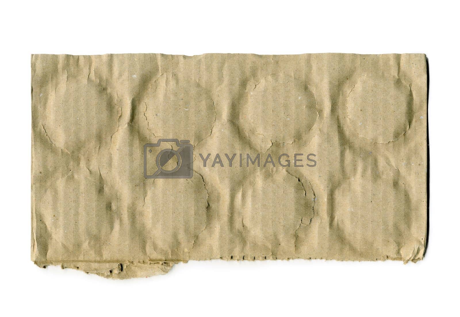 Royalty free image of Brown corrugated cardboard torn by tan4ikk1