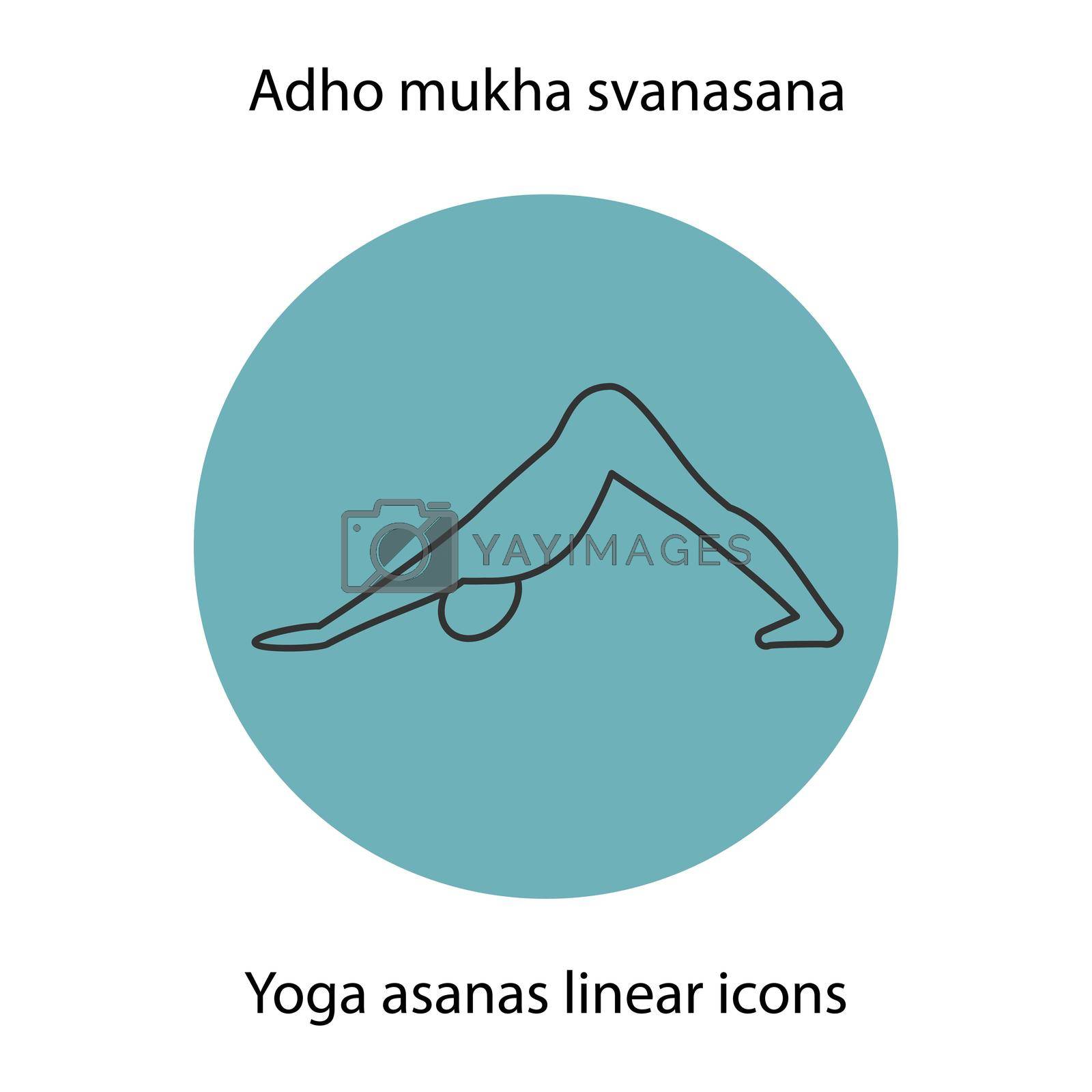 Adho mukha svanasana yoga position. Linear icon. Thin line illustration. Yoga asana contour symbol. Vector isolated outline drawing