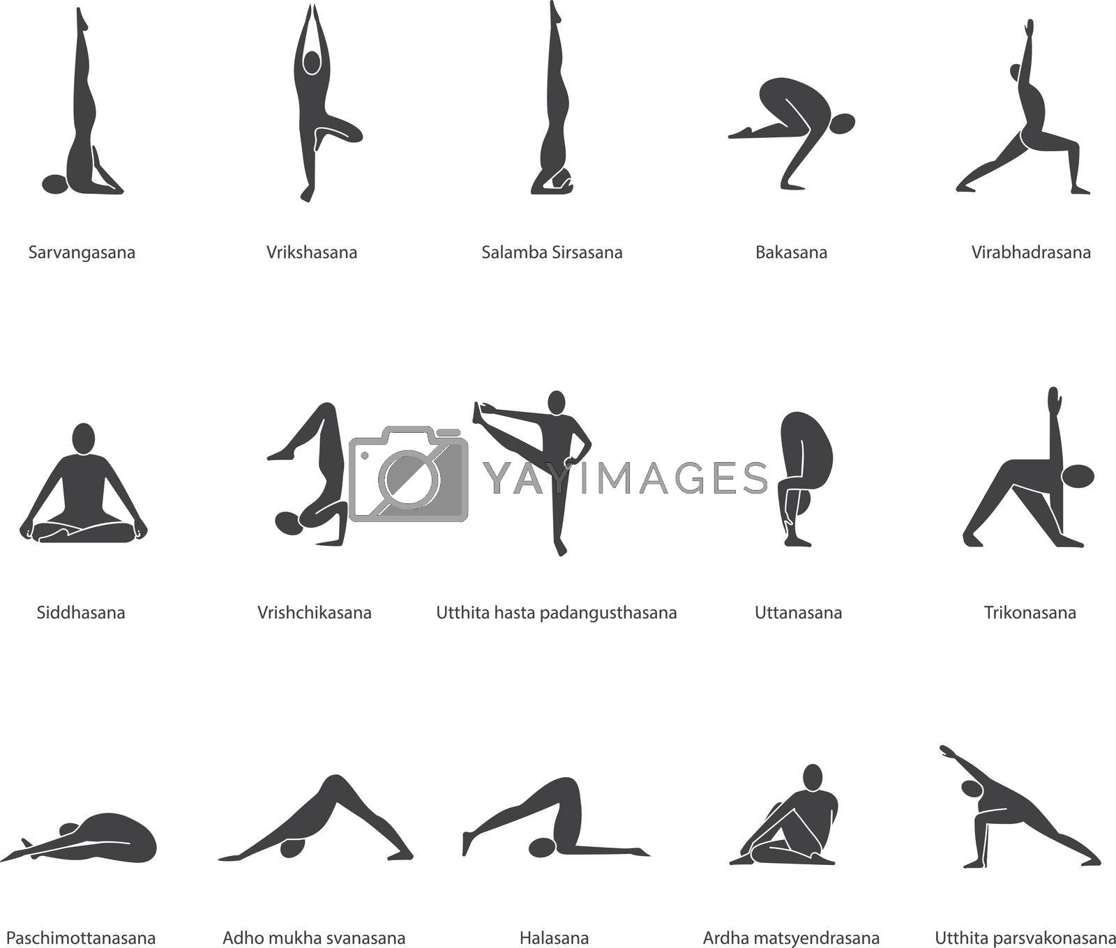 Yoga poses icons set. Yoga asanas silhouette symbols. Sarvangasana, halasana, bakasana, uttanasana, siddhasana, vrikshasana, trikonasana, virabhadrasana. Vector isolated illustration