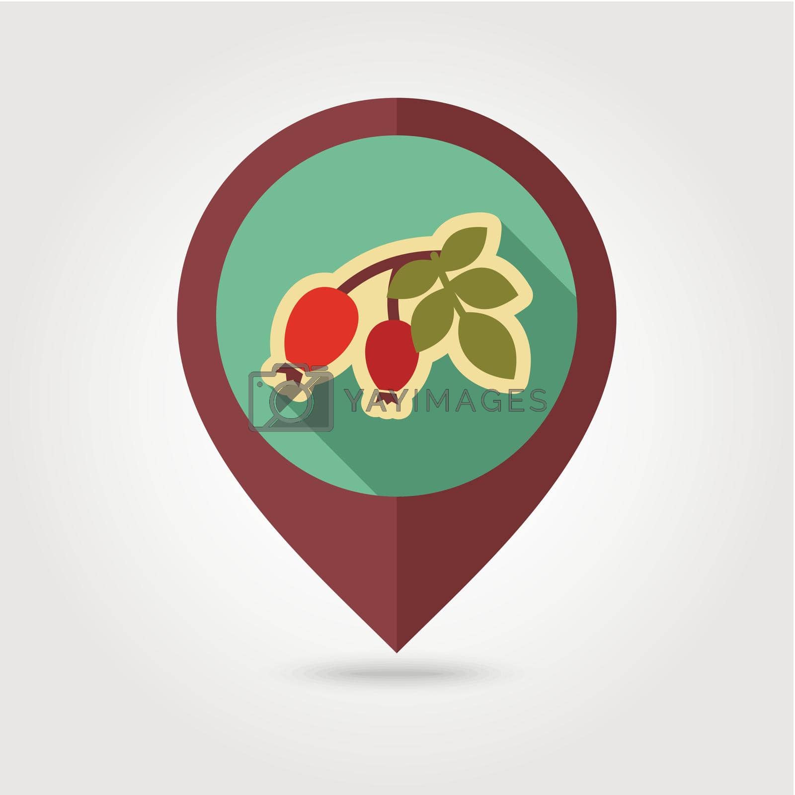 Royalty free image of Rosehip branch with red berries flat pin map icon by nosik
