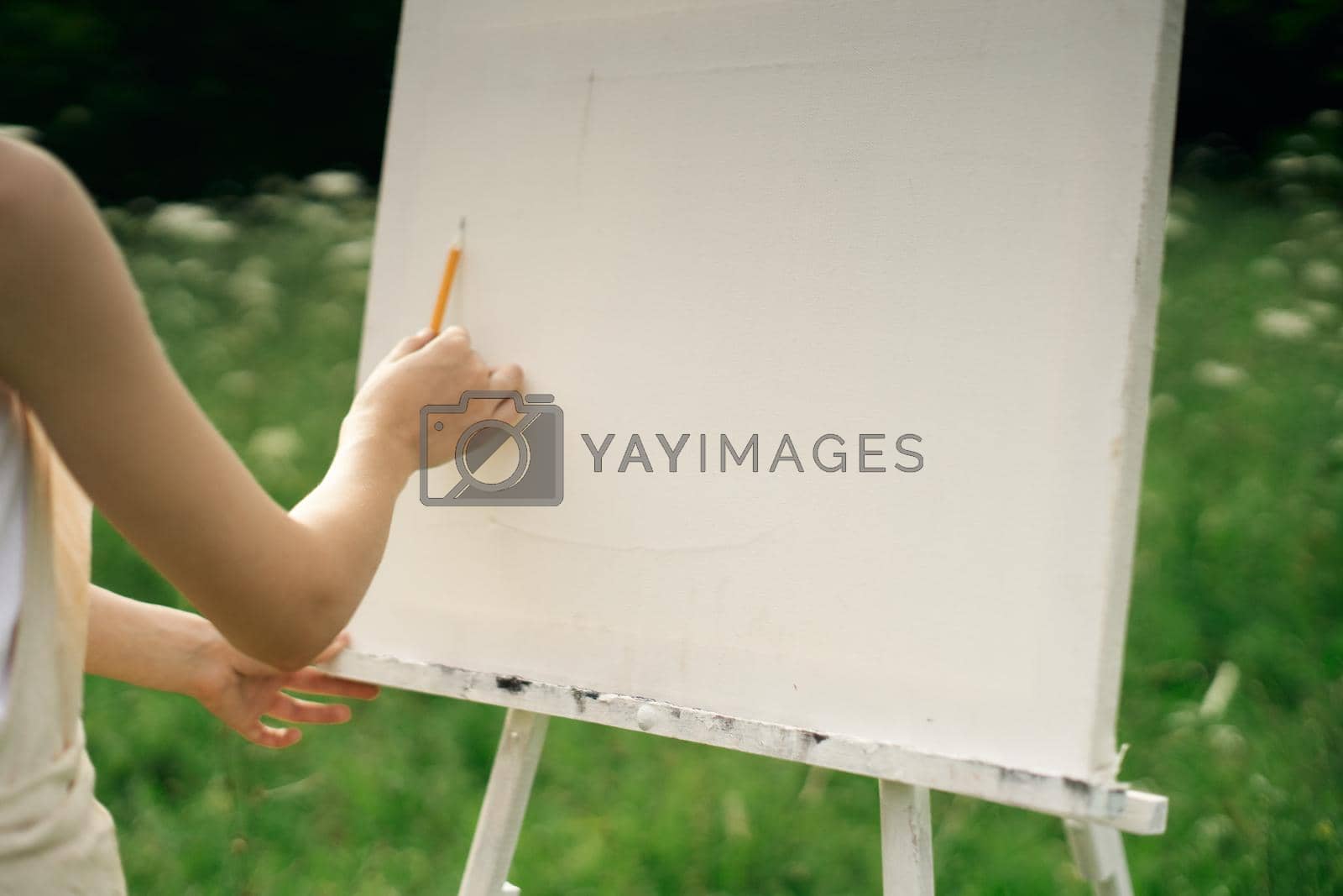 pencil easel drawing art creative nature lifestyle. High quality photo